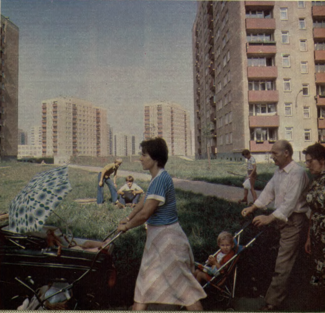 Jelonki w 1979 roku - Tygodnik Stolica 48/1979