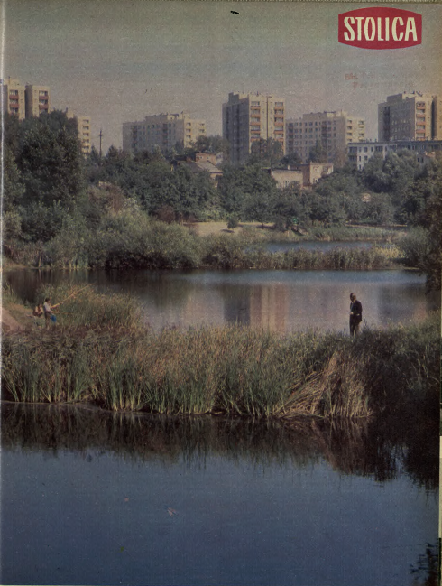 Jelonki w 1979 roku - Tygodnik Stolica 48/1979